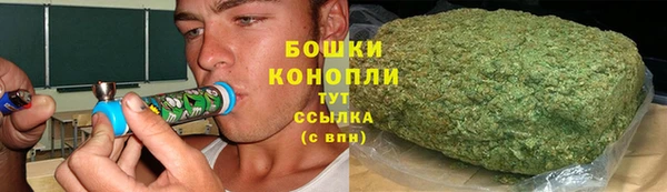 таблы Бородино