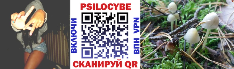 где купить наркоту  Красноармейск  Псилоцибиновые грибы MAGIC MUSHROOMS 